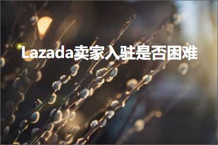 跨境电商知识:Lazada卖家入驻是否困难